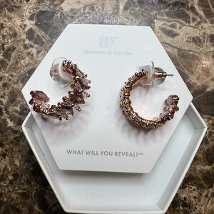 NWT Bomb Party Amethyst Hoops